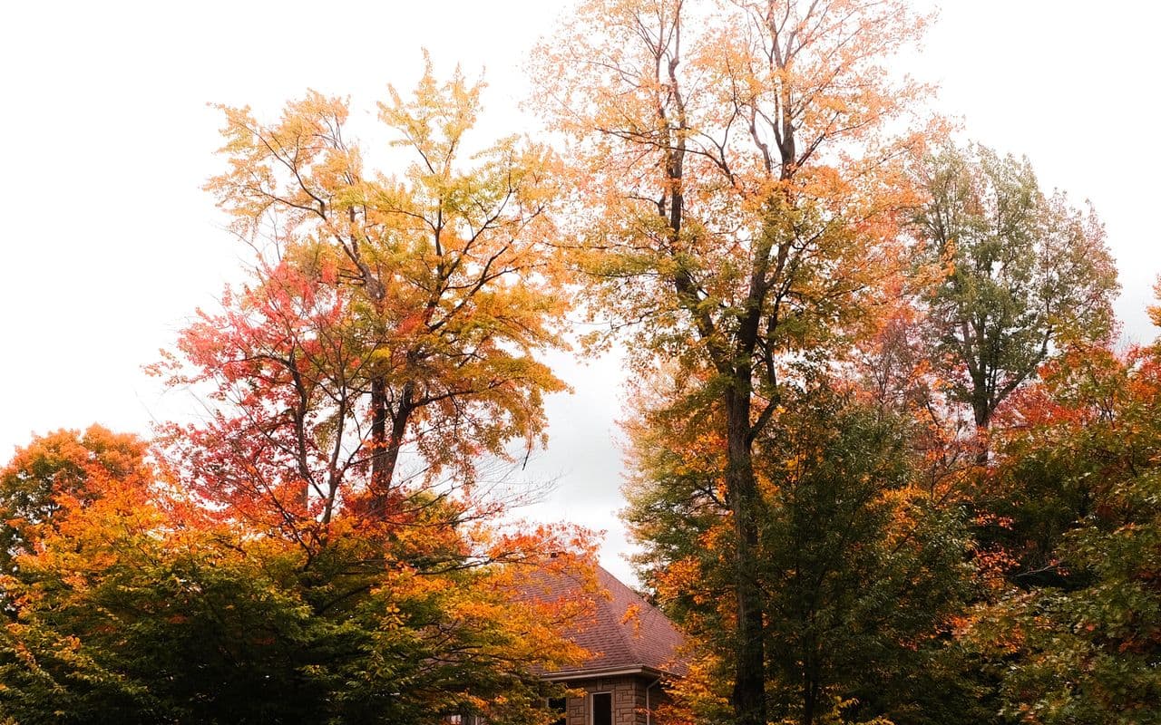 Home care in Hampton, Pittsburgh